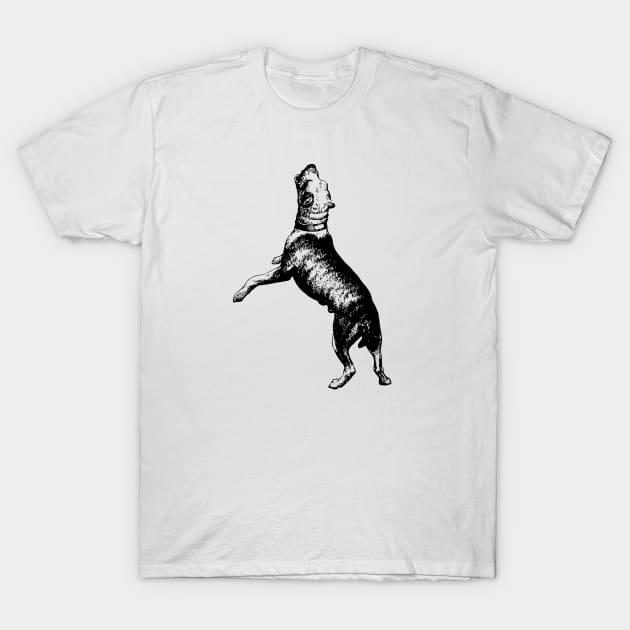 Dog T-Shirt by linesdesigns